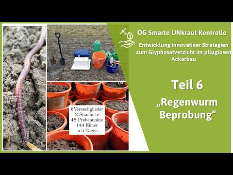 Smarte UNkrautkontrolle - Teil 6 - Regenwurm Beprobung
