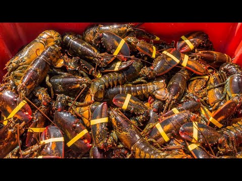 $400,000 worth of lobster stolen on way to Costco stores