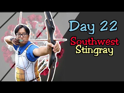 Quarantine Archery Day 22: Southwest Stingray