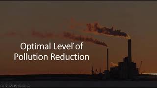 Optimal Quantity of Pollution Reduction