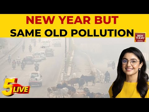 Gurugram Activist Gauri Sarin On Hunger Strike Over Toxic Air Crisis | India Today