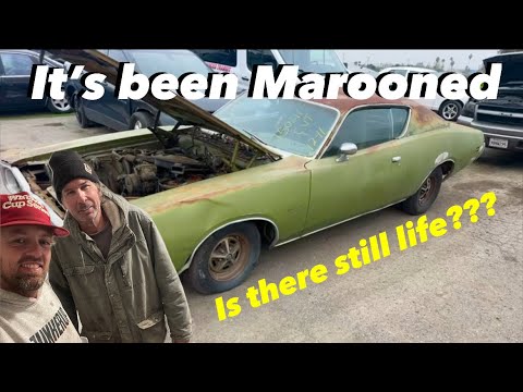 This rusty 71 Charger abandoned at long term storage is a Super Bee in Disguise