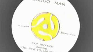 the new establishment - sky rhythm - bongo man records (sub label coxsone skylarking riddim )