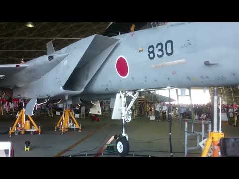 F15 Gear up/down demonstrate