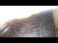 Opening To Annoying Orange Wanted Turbo 2018 DVD