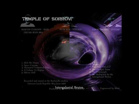 Temple of Sorrow - TEMPLE OF SORROW - Silicon Hell "2007"