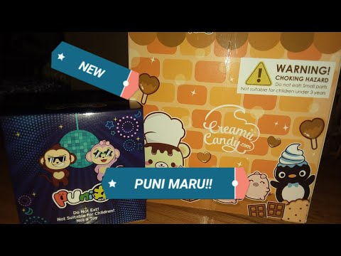 NEW PUNI MARU BOXED SQUISHES!! @POPULARBOXES_HK PACKAGE!! Video
