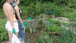 29/6/09 | Olivia Broadfield and Cassie Leedham at the OC Allotment