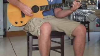 Video thumbnail for Gibson Chet Atkins Acoustic Guitar by Bonnie Grossman