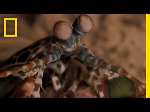 Overview | Exploring Oceans