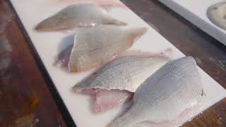 How To: Fillet A Scup