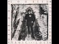 Lou Reed   Warrior King - Revenge with Lyrics in Description