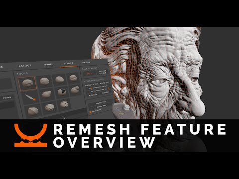 Kodon - Remesh Feature Overview (Outdated)