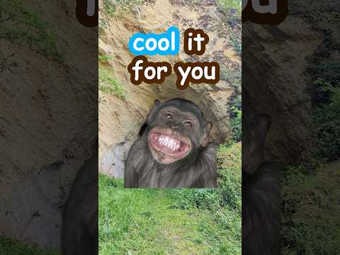 C0ol