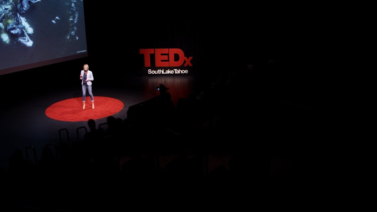 Science to Solutions | Darcie Goodman Collins, PhD | TEDxSouthLakeTahoe