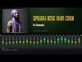 Spragga Benz & Baby Cham - No Cokemania (Swing Easy Riddim) [HD]
