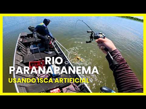 Rio baixou e o Tucunaré sumiu? Fomos conferir!