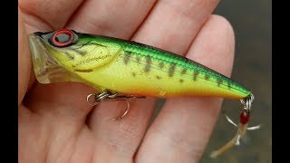 Daiwa t d slash skater zero