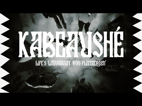 LIFE'S WAAAAAAAY TOO FLEEEEETEEN' (Official Music Video)