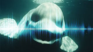 5 Creepiest Sounds in the Ocean Ever Recorded