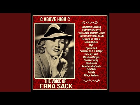 Classic Medley: Draussen In Sievering / Under the Lime Tree / I' Hab' Amal a Rauscherl G'Habt /...