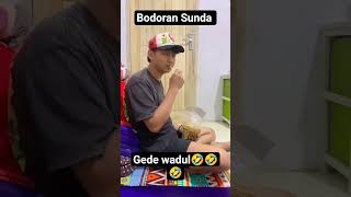 Download lagu bodoran Sunda gede wadul🤣 #lucu #ngakak @Derymunir mp3 Download lagu bodoran Sunda gede wadul🤣 #lucu #ngakak @Derymunir mp3