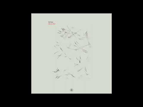 Indefinite Pitch premieres. Pattrn - Terpsichore [Cellar Door Records]