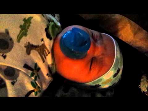 Dallas and his tortle hat