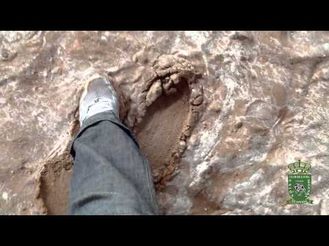 Inundación de Campo de Lucha de Guamasa