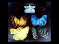 Morton Subotnik Butterfly 1 From 4 Butterflies 1974