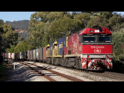 4MP7 Hawthorn 05/07/2023