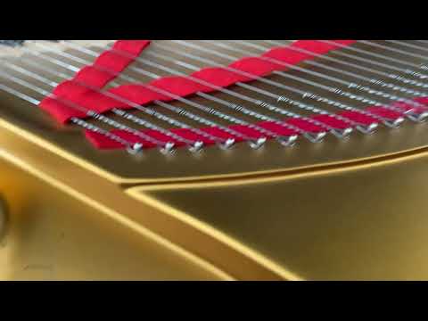 Steinway&Sons Model B 1980 - Nero image 12