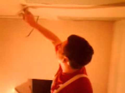 Zvezda Granda Saki-bele rade :))))))))))))