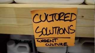 preview picture of video 'Cultured Solutions Nutrients @ Here We Grow - Hadley, MA Hydroponic Store (413) 584-FARM'