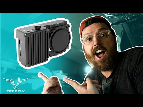 1,000 FPS for $9k? | Freefly Wave Camera Review