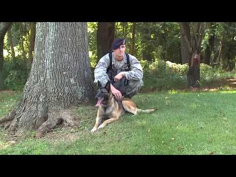 Guardians Of Freedom