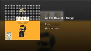 Eels  All the beautiful things