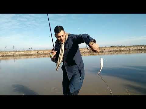 Pesca de moncholos en pinto santiago del estero salado dulce! #sorteo #dia del padre