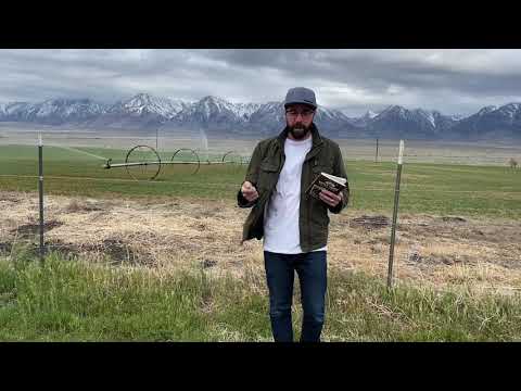 Day 21 “Walking Lessons” 30 Days at the Water Brook devotional reading by Ryan Scheibel