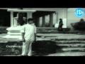 Vrepalle Vechenu Venuvu Vechenu Song Sarada Movie Sharada Sobhan Babu Jayanthi