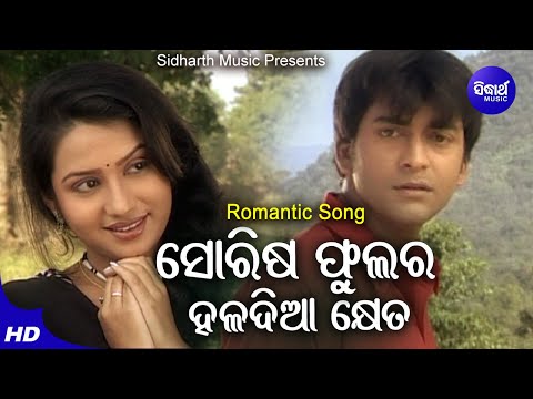 Sorisa Phulara Haladia Kheta - Romantic Album Song | Nibedita | Somesh,Ameli,Neina | Sidharth Music
