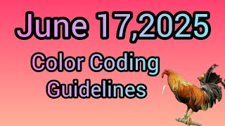 Download the video "June 17,2025 Color Coding guidelines."
