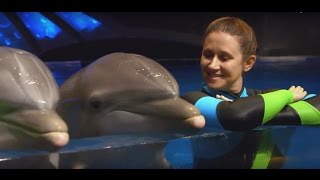 The Incredible Life of a Dolphin Trainer