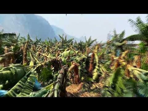 Cua daj cua dub hnub 2