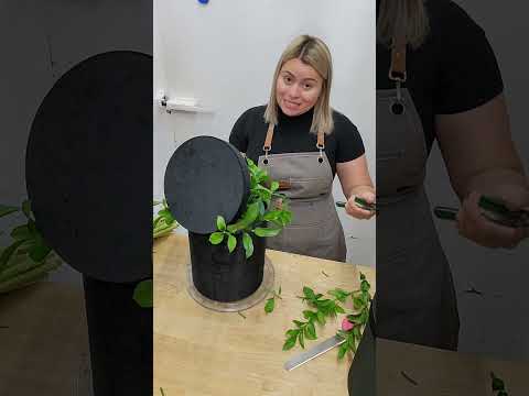 Sunflower Box paso a paso con Lavish