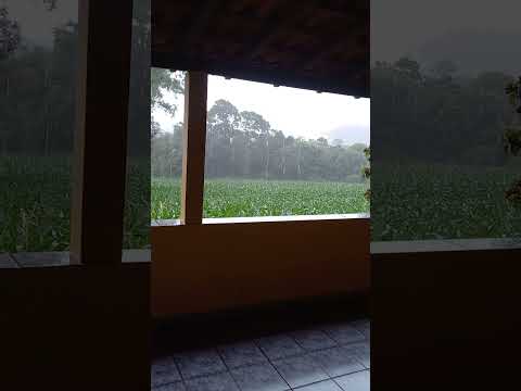 Hoje está assim nossa Minduri MG.