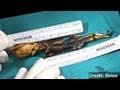Tiny Alien-Like Skeleton Contains Human DNA