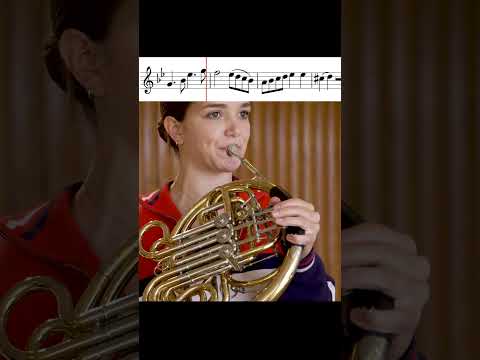 Mozart: Horn Concerto No. 4 – opening  #classicalmusic #frenchhorn #mozart #horn