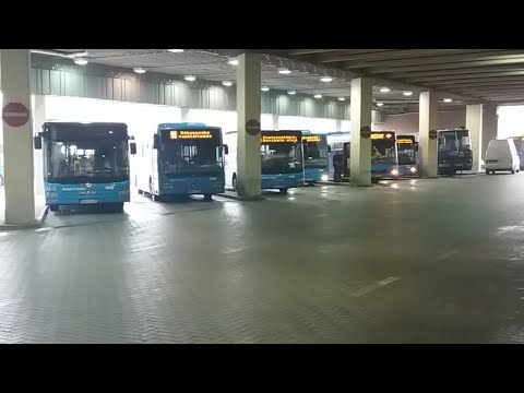 193E Mikulásbusz