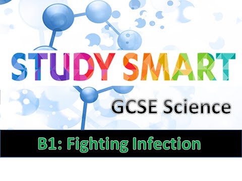 B1 Fighting Infection AQA